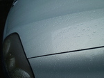 P5050163.JPG